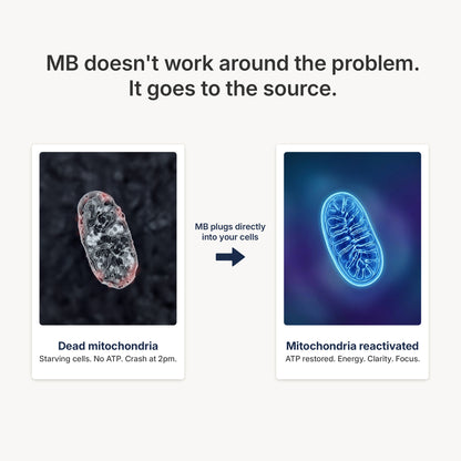 Blissta®  USP Grade - Methylene Blue 1%