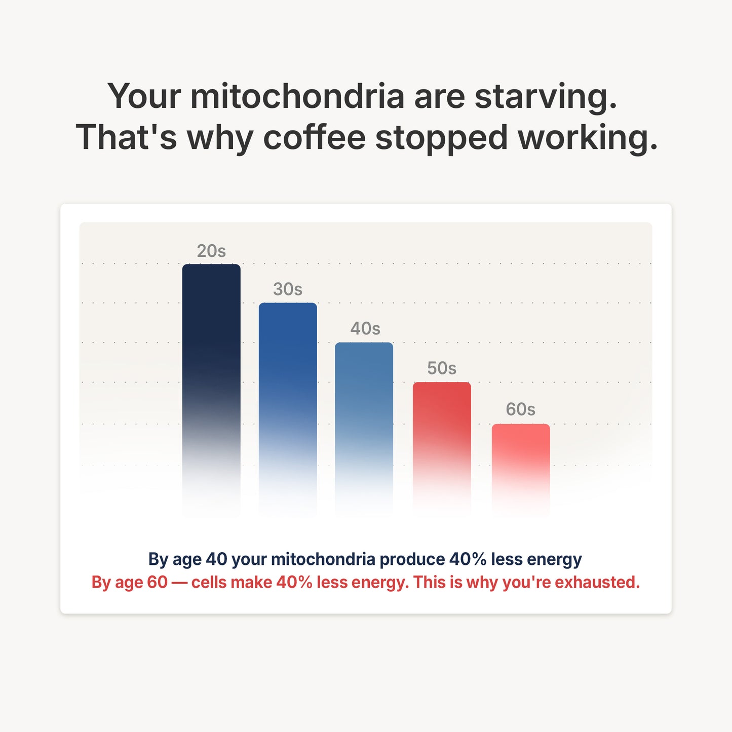 Blissta®  USP Grade - Methylene Blue 1%