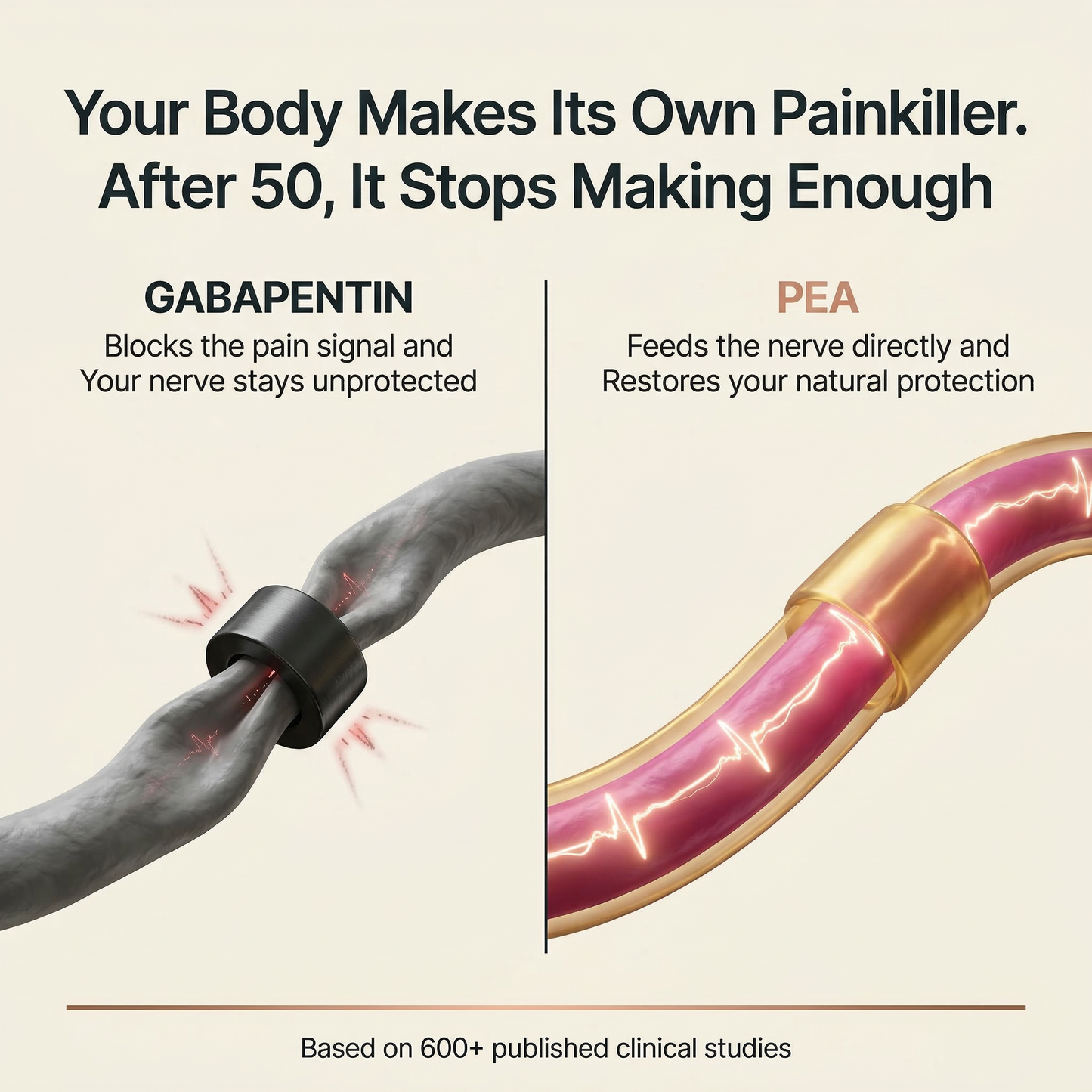 Blissta® PainBloc | Whole Body Pain Relief PEA 600MG (Micronized)