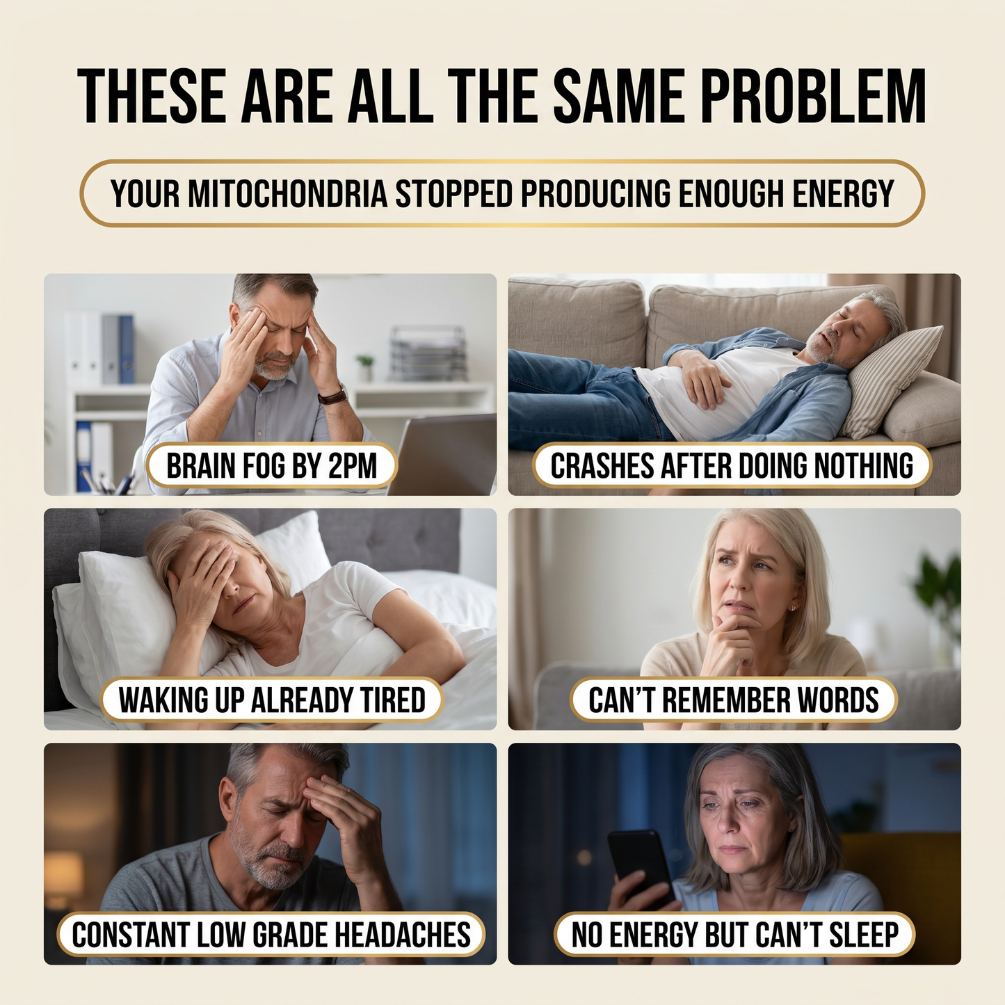 Blissta® USP Grade Methylene Blue Capsules