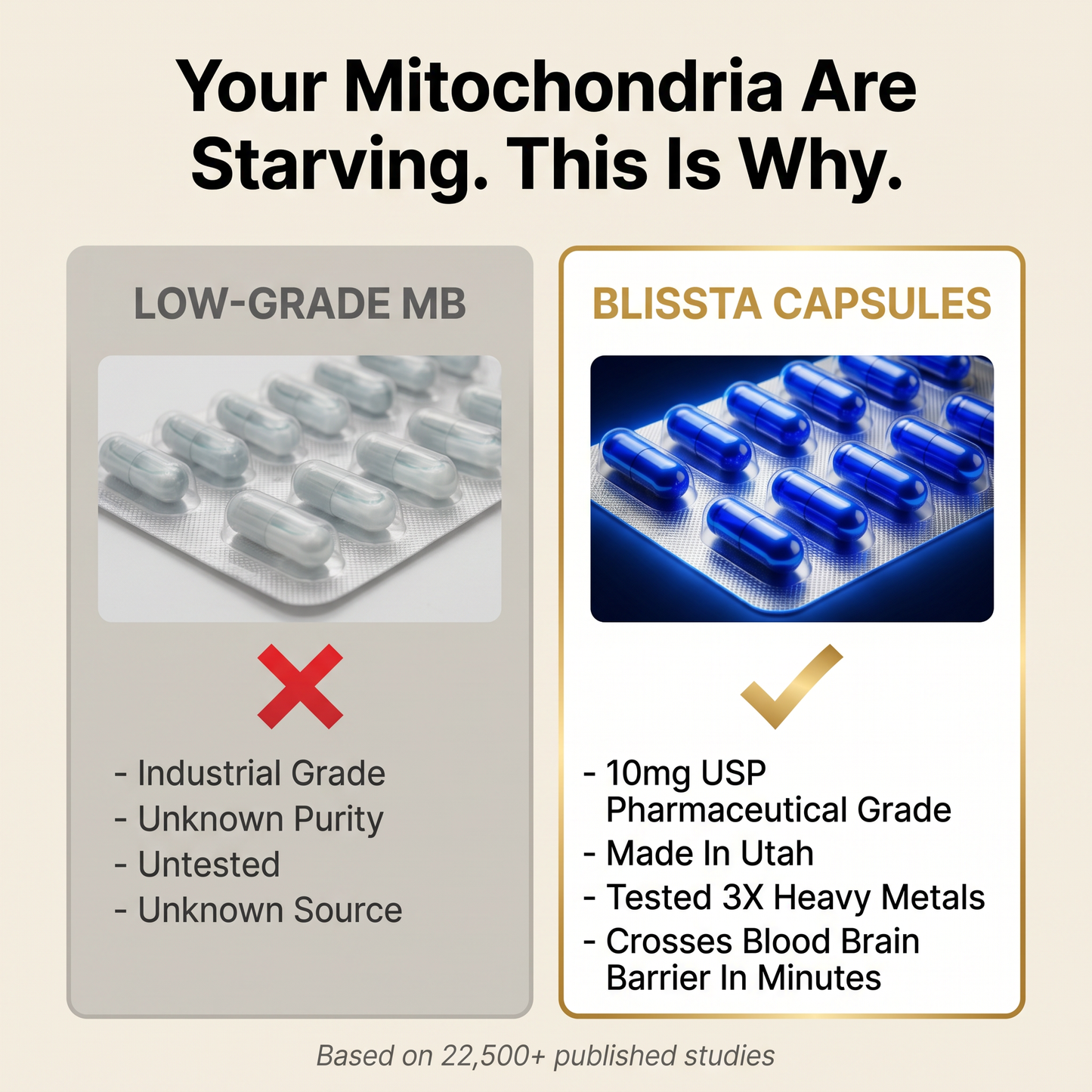 Blissta® USP Grade Methylene Blue Capsules
