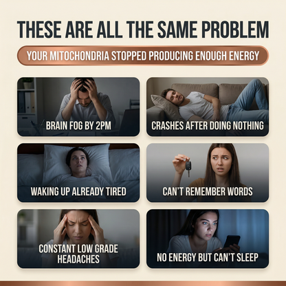 BLISSTA® ULTRA BLUE GUMMIES